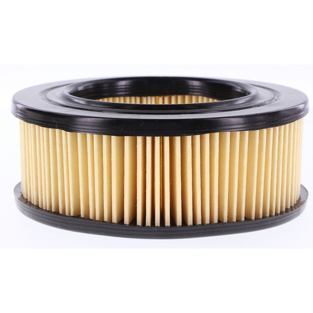 Ryco Air Filter - A21