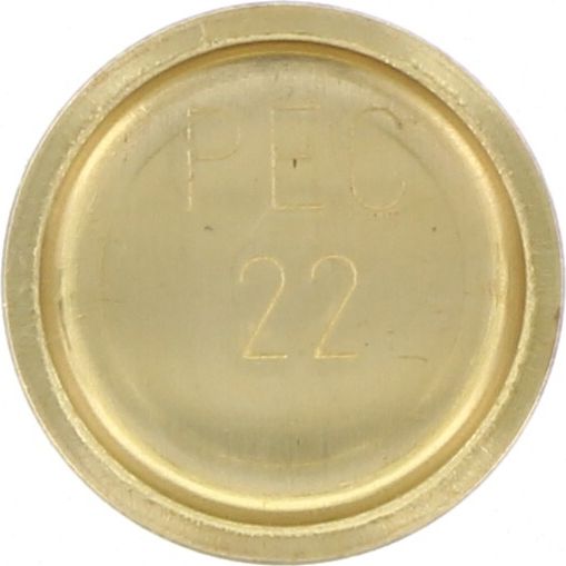 Kelpro Brass Welch Plug 22mm - RBC22MM