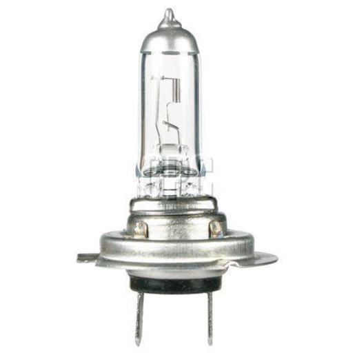 OEX H7 Globe 12V 55W Standard - 1 Pce - GLX16070