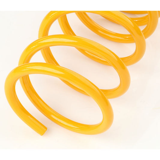 King Springs Coil Springs Standard Rear - KCRS-23