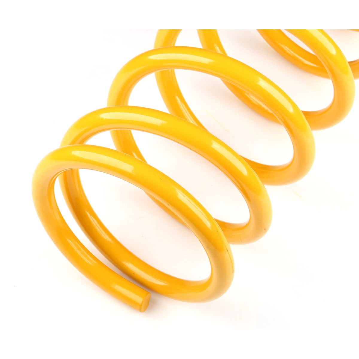 King Springs Coil Springs Raised Rear - KDRR-45