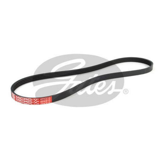 Gates Ribbed Belt - 4PK815