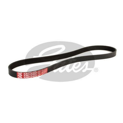 Gates Ribbed Belt - 5PK820