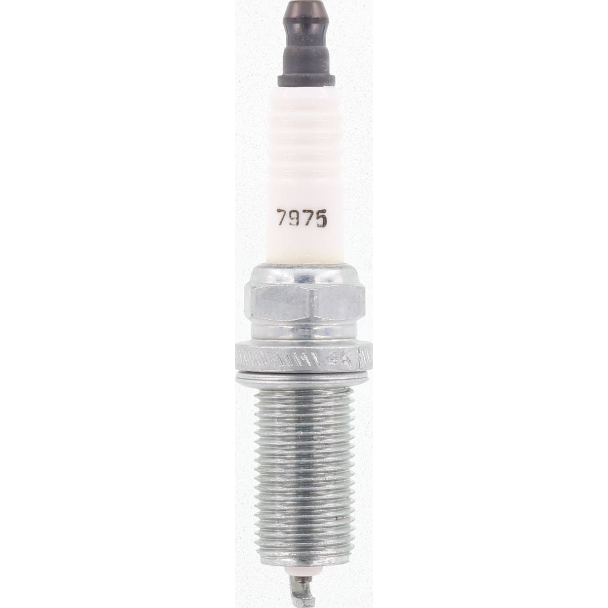 Champion Platinum Spark Plug - 7975