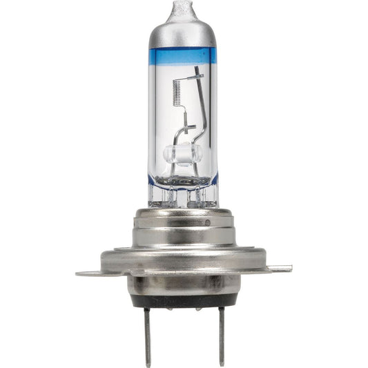 Narva H7 PX26d Plus 100 Globe 12V 55W - 48346BL2