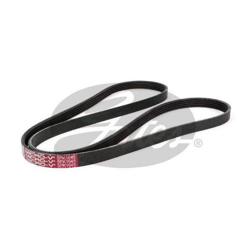 Gates Ribbed Belt - 5PK1645