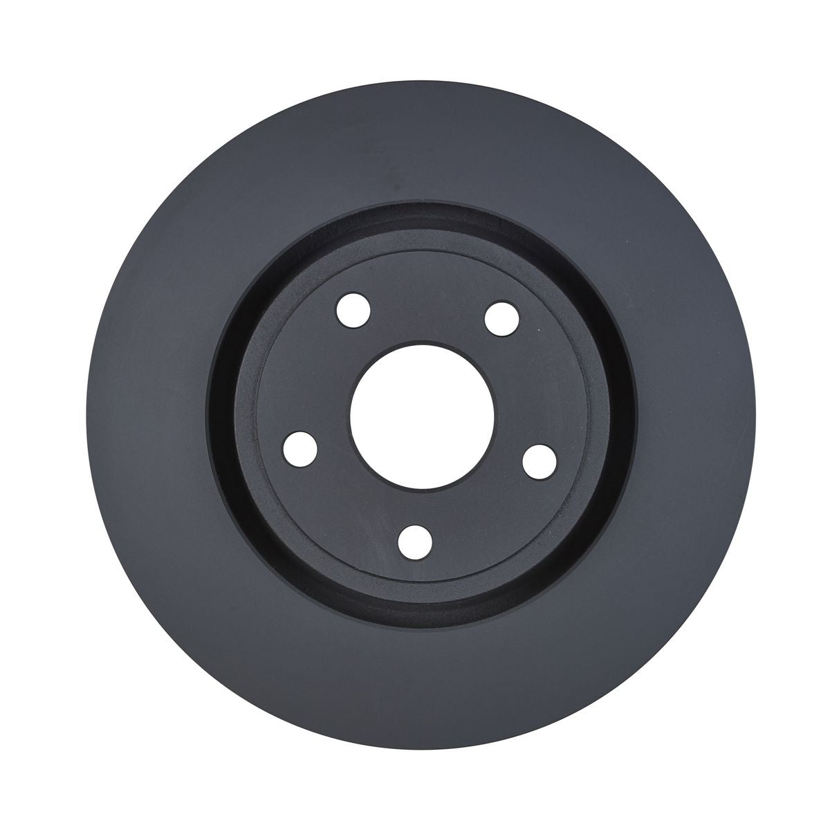 RDA OE Replacement Brake Rotor Pair 318mm Rear - RDA8371