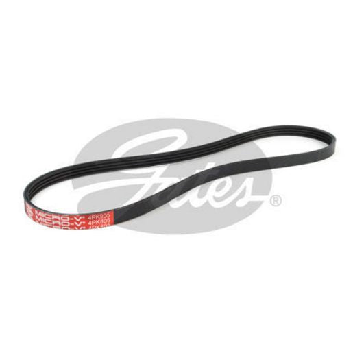Gates Ribbed Belt - 4PK805
